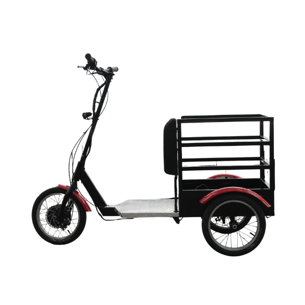 ECO patineta electrica