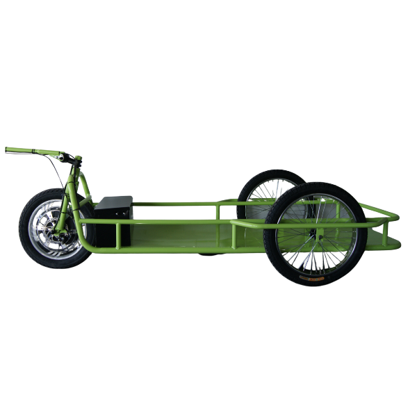 REMOLQUE BICICLETA
